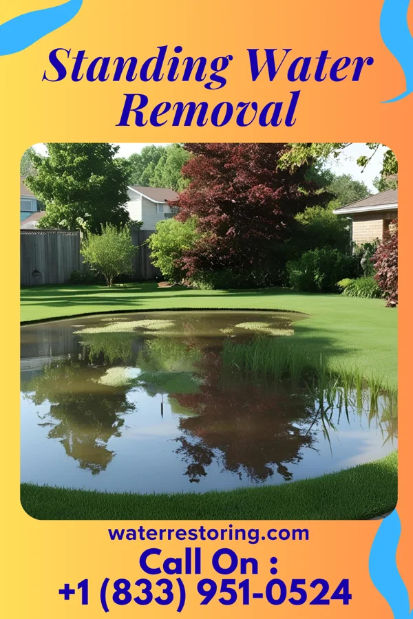 Standing Water Removal in East Highland Park, VA